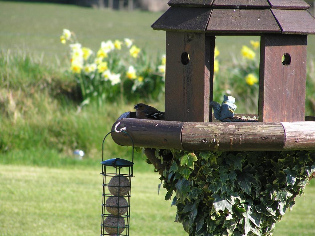 クロベリー Greenfields Bed & Breakfast エクステリア 写真